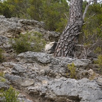 Photo de France - Le Cirque de Mourèze et le Lac du Salagou